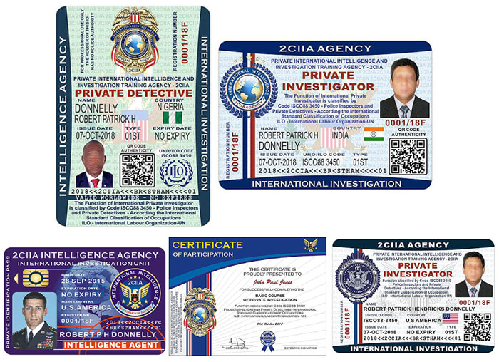 Free detective course
